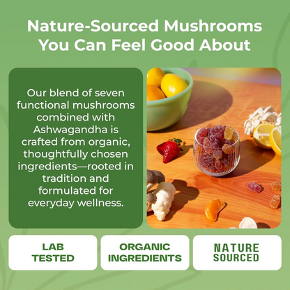 Nova™ Mushroom Ashwagandha Gummies